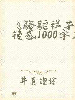 《骆驼祥子》读后感1000字左右