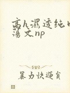 高h湿透纯肉放荡文np