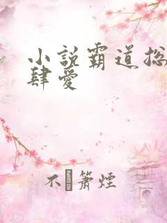 小说霸道总裁放肆爱