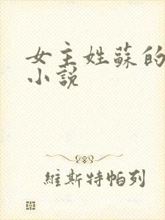 女主姓苏的重生小说