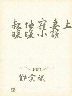 叔他宠妻上瘾古暖暖小说