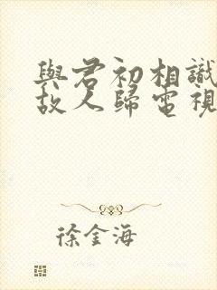 与君初相识恰似故人归电视剧免费观看