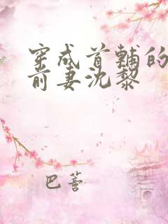 穿成首辅的炮灰前妻沈黎