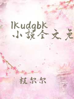 lkudgbk小说全文免费阅读笔趣阁无弹窗