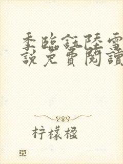 季临钰陆雪意小说免费阅读最新章节