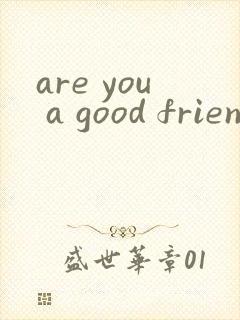 are you a good friend翻译