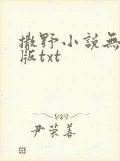 撒野小说无删减版txt