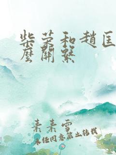 柴荣和赵匡胤什么关系