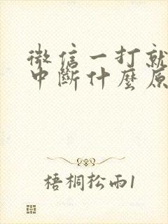 微信一打就通话中断什么原因