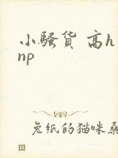 小骚货 高h np