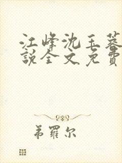 江峰沈玉蓉的小说全文免费阅读