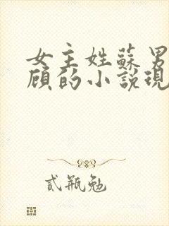 女主姓苏男主姓顾的小说现代言情