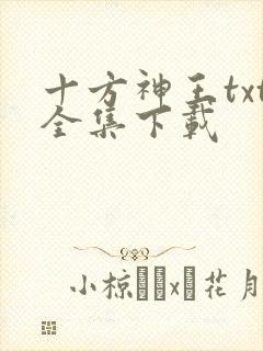 十方神王txt全集下载
