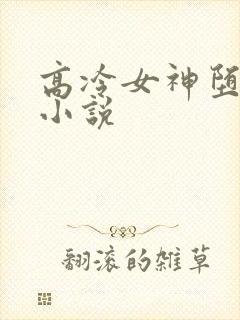 高冷女神堕落的小说