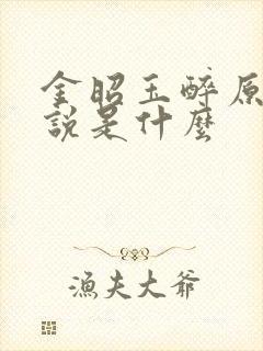 金昭玉醉原著小说是什么