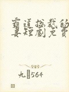 霸道总裁的小娇妻短剧免费观看全集