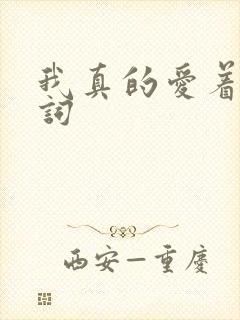 我真的爱着你歌词