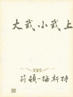 大武小武上黄蓉