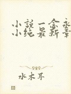 小说一念永恒白小纯最新章节目录