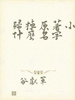 归棹原著小说叫什么名字