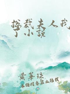 总裁夫人我当腻了小说