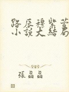 路辰穆紫萱穿越小说大结局