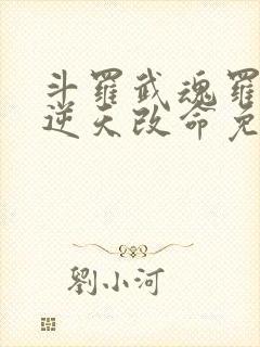 斗罗武魂罗三炮逆天改命免费