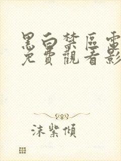 黑白禁区电视剧免费观看影视大全