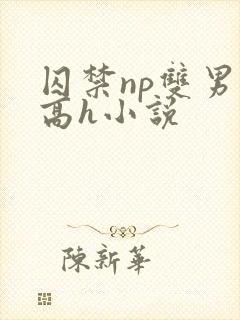 囚禁np双男主高h小说