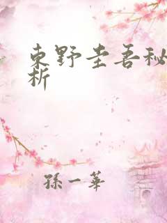 东野圭吾秘密解析