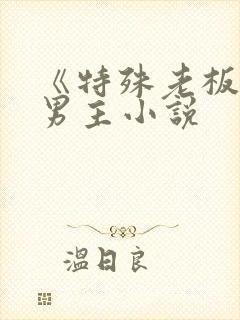 《特殊老板》双男主小说