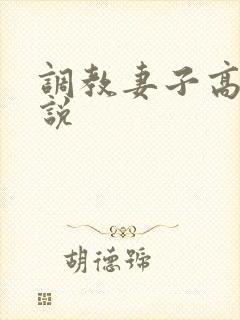 调教妻子高h小说