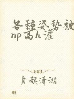 各种姿势被学长np高h灌