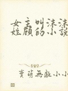 女主叫沫沫男主姓顾的小说