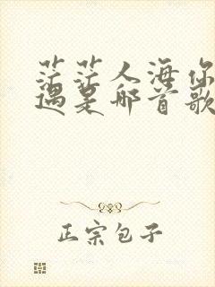 茫茫人海你我相遇是哪首歌的歌词