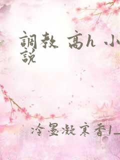 调教 高h 小说