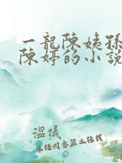 一龙陈姨孙太太陈婷的小说