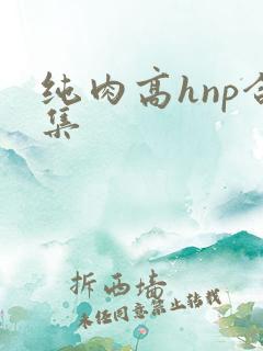 纯肉高hnp合集