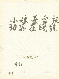 小娘惹电视剧第30集在线观看免费