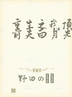 重生之我顶替了前夫白月光结局