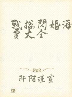 战总闪婚海彤免费大全