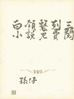 白领系列三部曲小说免费阅读