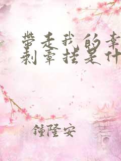 带走我的幸福只剩牵挂是什么歌