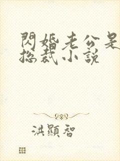 闪婚老公是千亿总裁小说