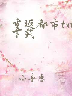 重返都市txt下载