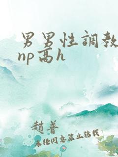 男男性调教小说np高h