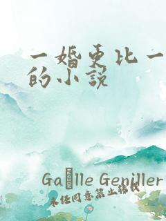 一婚更比一婚高的小说