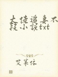 大佬追妻不择手段小说txt