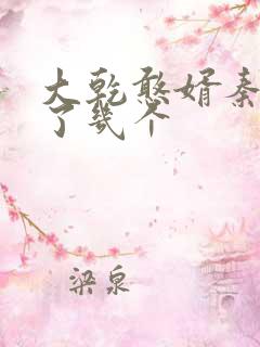 大乾憨婿秦墨娶了几个