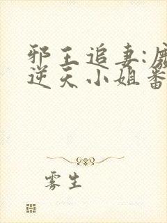 邪王追妻:废材逆天小姐番外